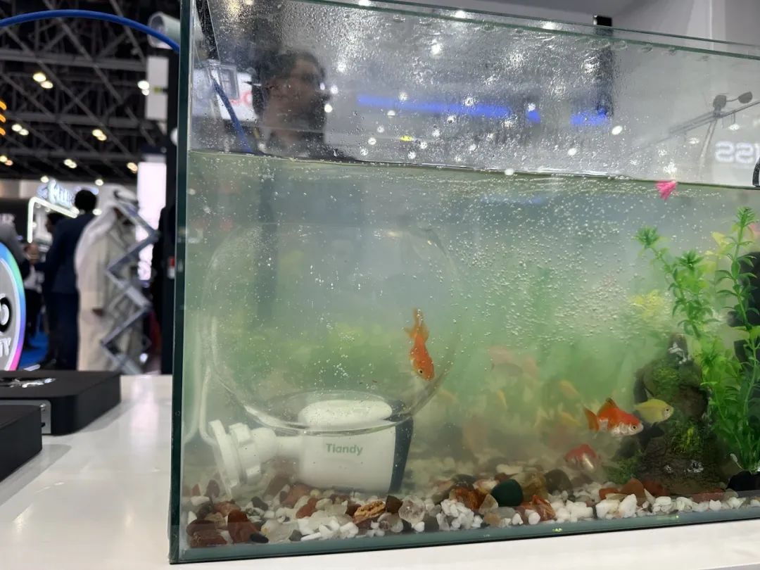 pg电子官网_游戏首页入口