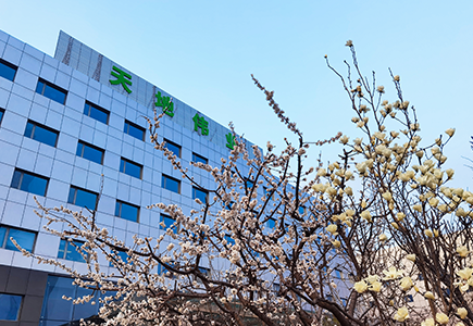 pg电子官网_游戏首页入口