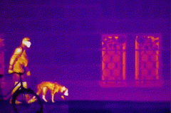 pg电子官网_游戏首页入口