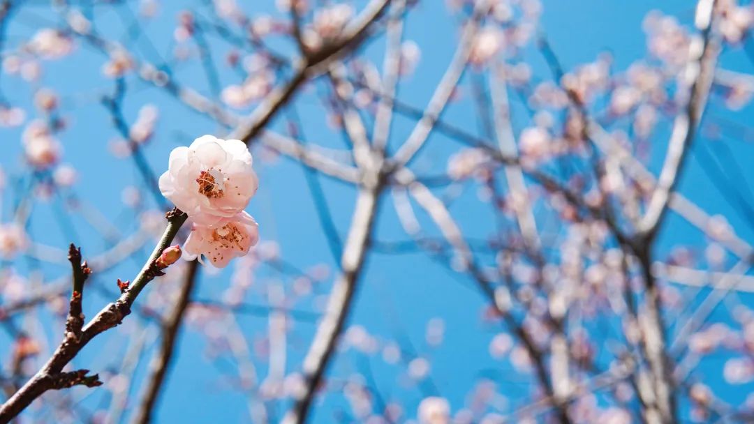 pg电子官网_游戏首页入口