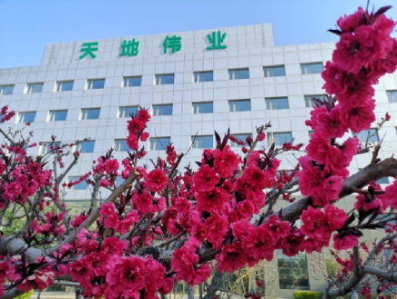 pg电子官网_游戏首页入口