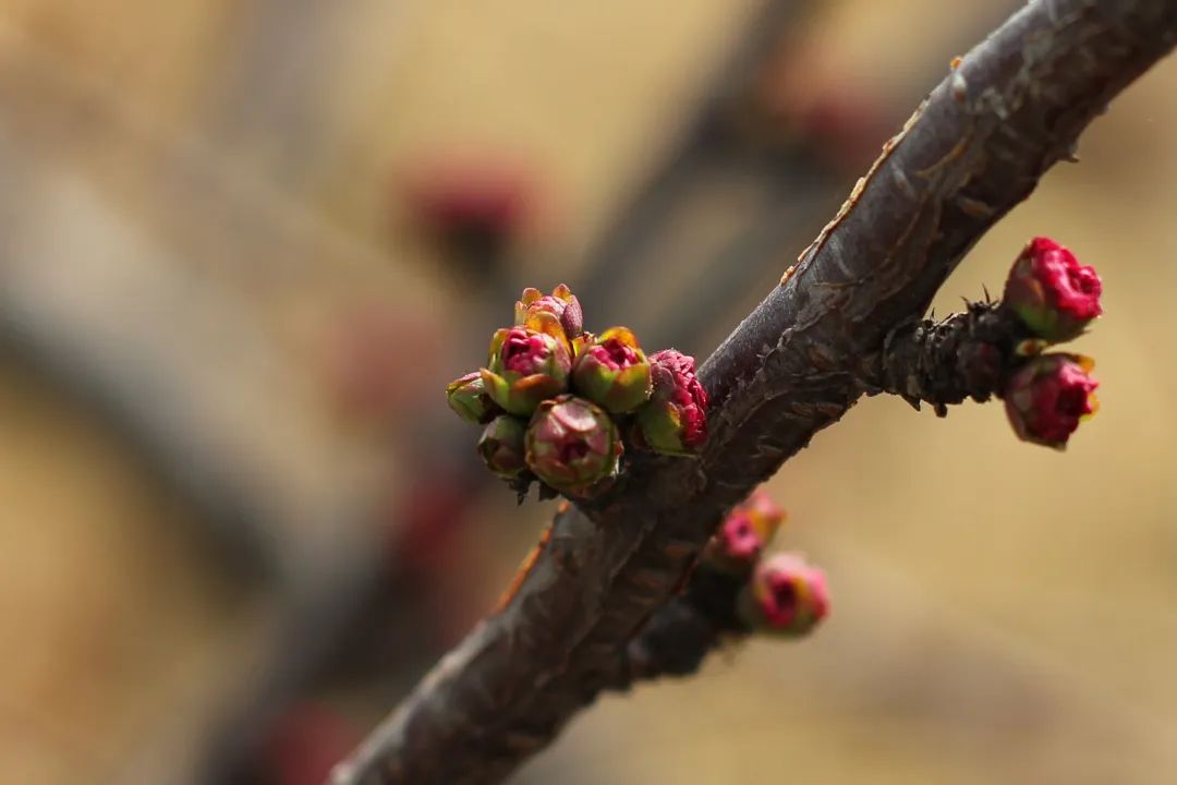 pg电子官网_游戏首页入口
