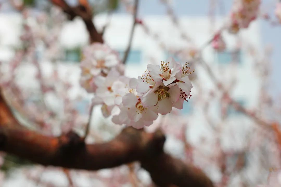 pg电子官网_游戏首页入口