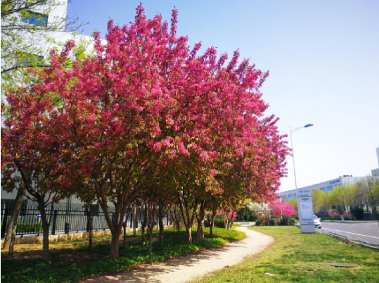 pg电子官网_游戏首页入口