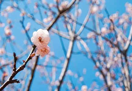 pg电子官网_游戏首页入口